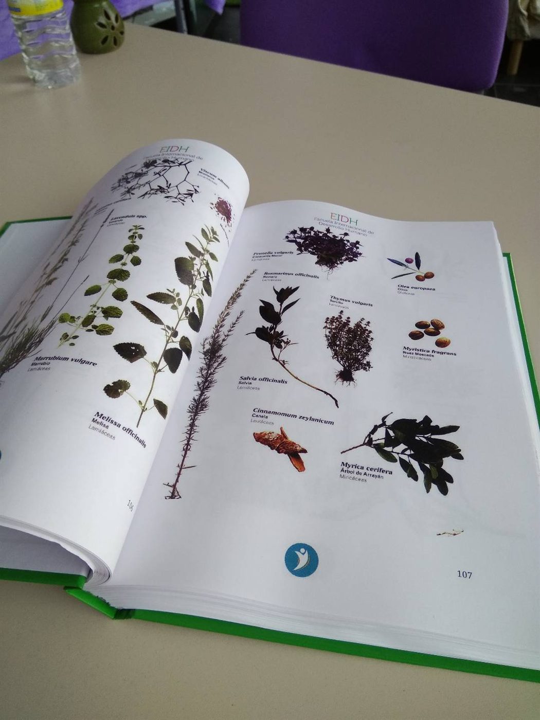Manual propio de Fitoterapia de EIDH abierto con fotografías de plantas