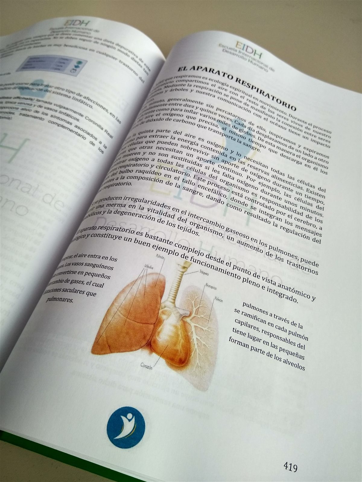 Manual de estudio de EIDH abierto en una lección de anatomía
