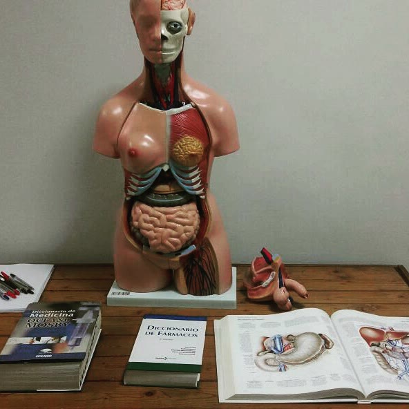 Modelo anatómico junto a libros de consulta
