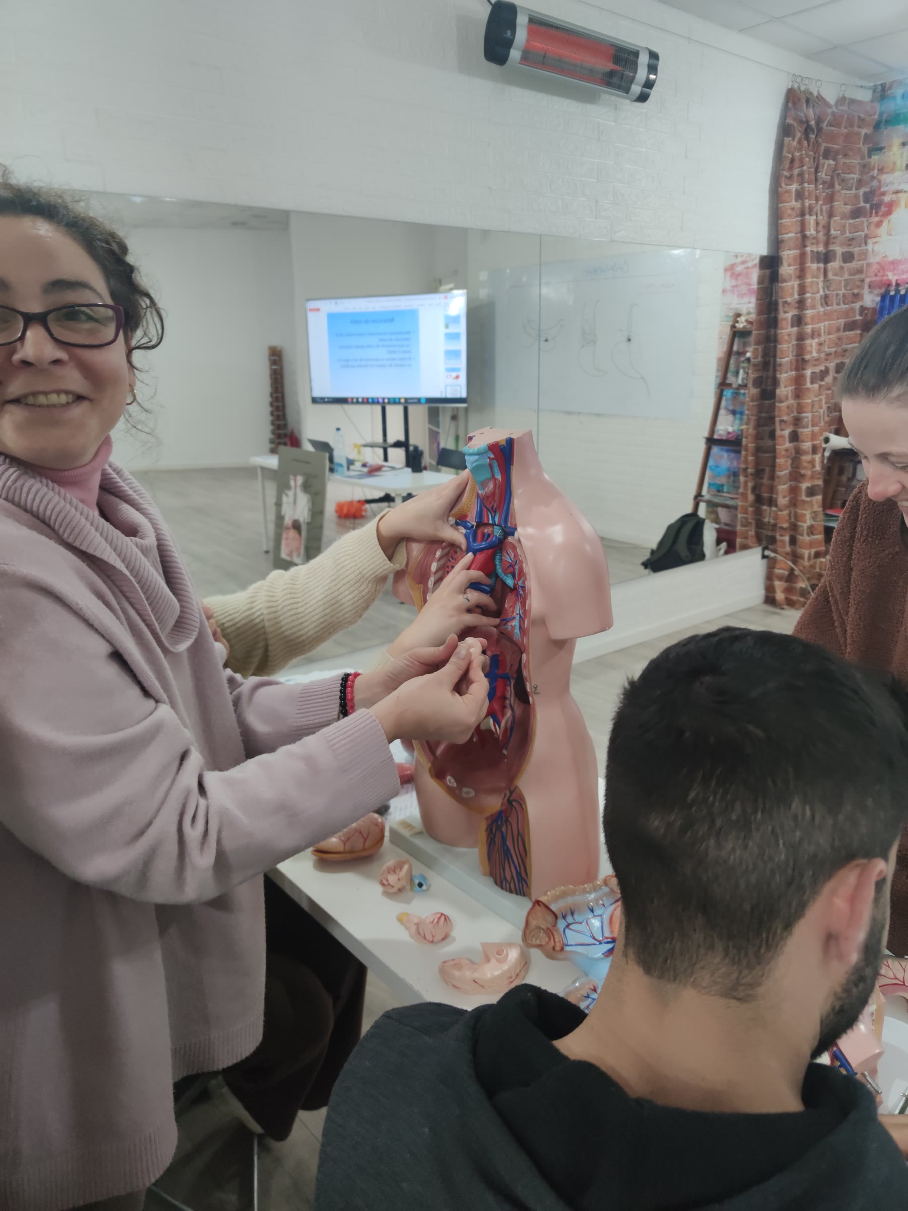 Alumnado explorando los órganos de un modelo anatómico