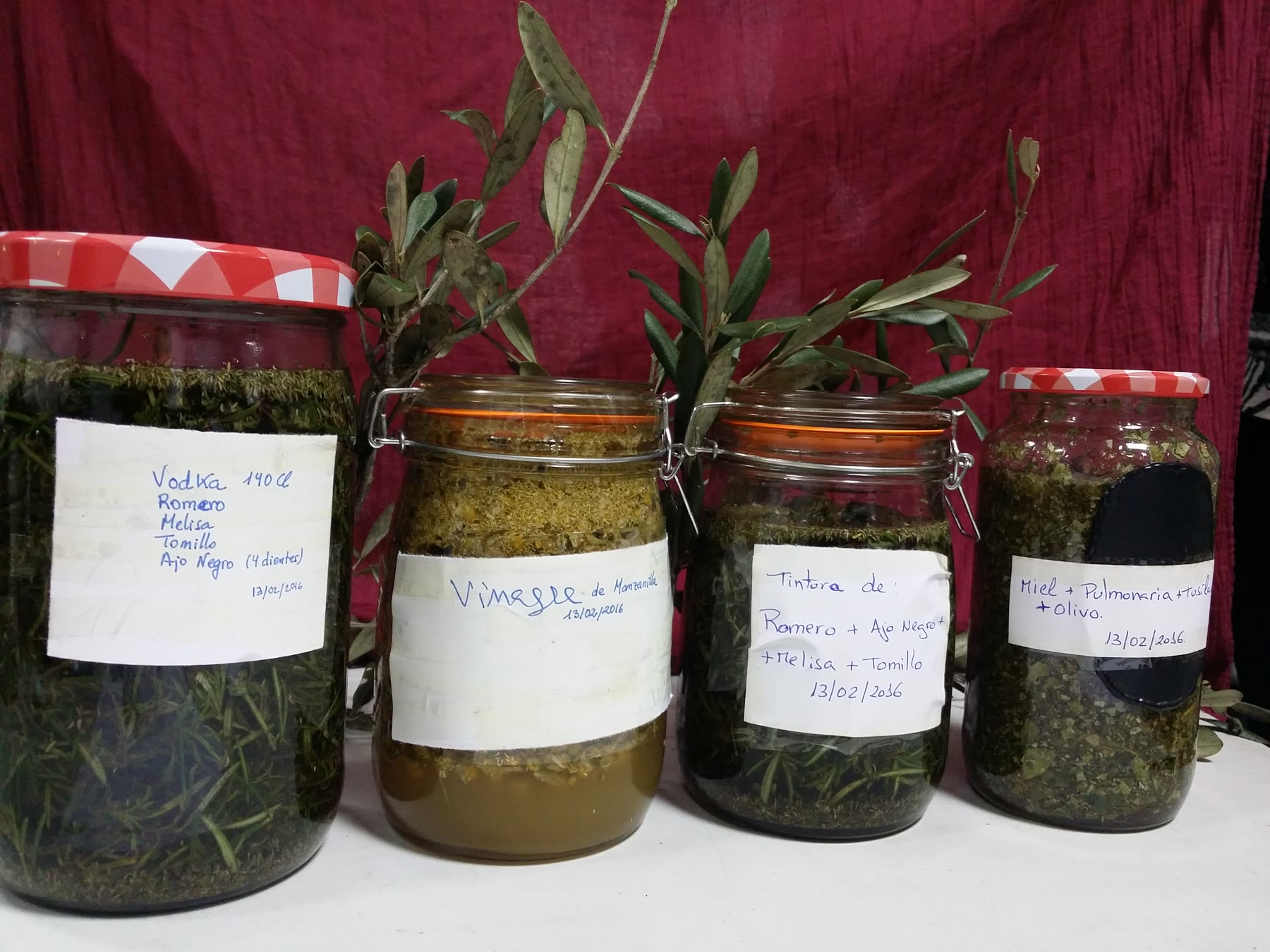 Preparados de plantas medicinales elaborados durante la formación